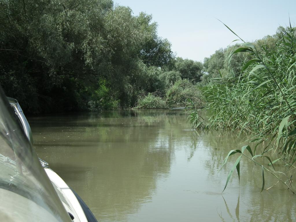 Vila Lotus Murighiol Zewnętrze zdjęcie